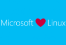 Update: Download Available  Microsoft Officially Announces Team for Linux
